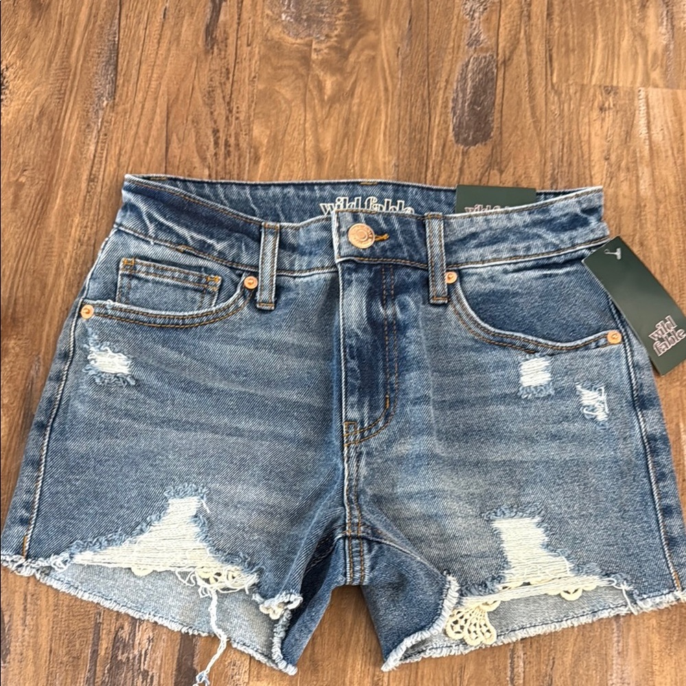 Stylish Blue Denim Shorts Wild Fable